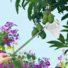 Fruit Picker Pole with Storage Bag Stainless Steel Apple Picker Pole Fruits Catcher Tree Picker Tree Picker Farm Garden Supplies