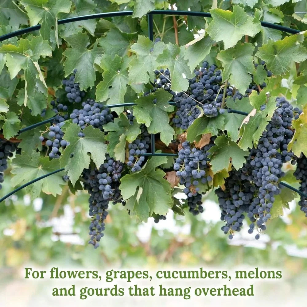 Large Garden Support Arch Frame Climbing Plant Arch Arbor for Climbing Plant Roses Vines Birthday Wedding Party Outdoor