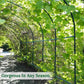 Large Garden Support Arch Frame Climbing Plant Arch Arbor for Climbing Plant Roses Vines Birthday Wedding Party Outdoor